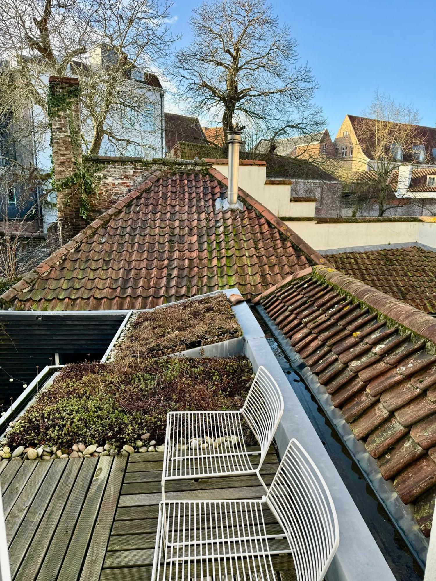 Bed and Breakfast Sleeping Swan Brügge Exterior foto