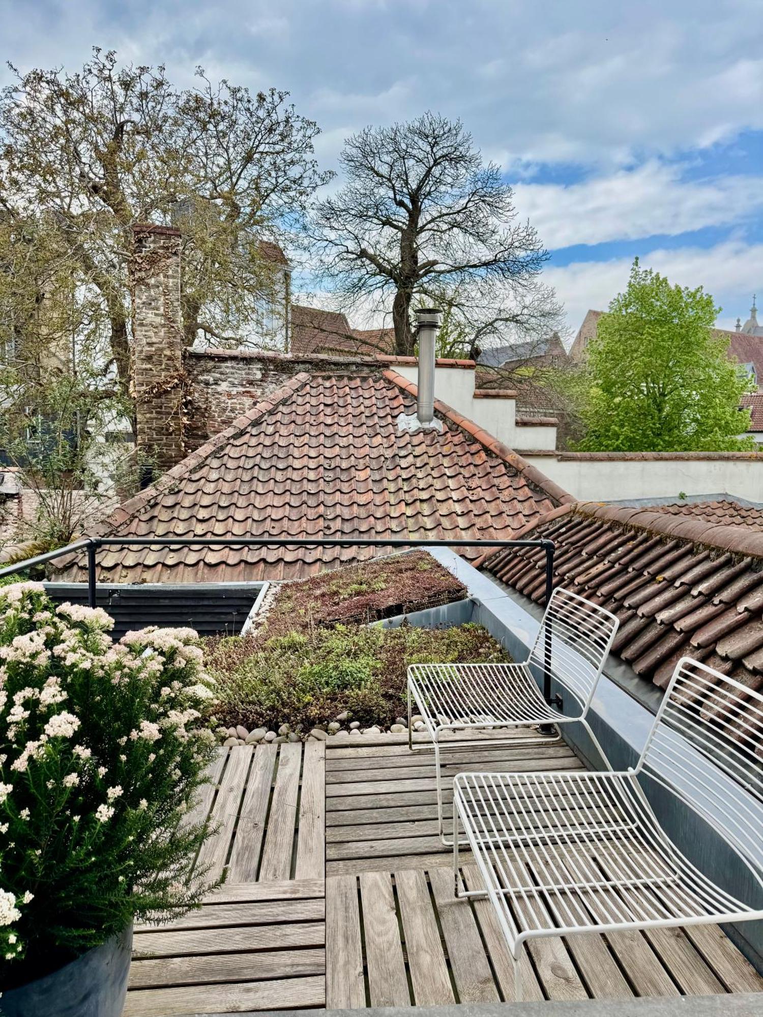 Bed and Breakfast Sleeping Swan Brügge Exterior foto